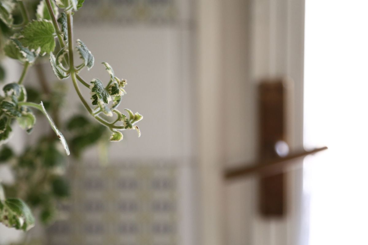 Casa Giardino | Home Relooking