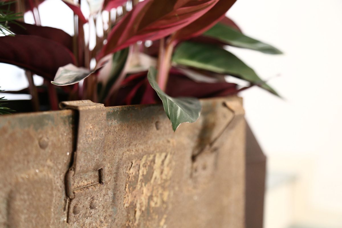 Casa Giardino | Home Relooking