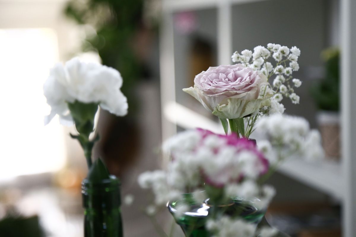 Casa Giardino | Home Relooking