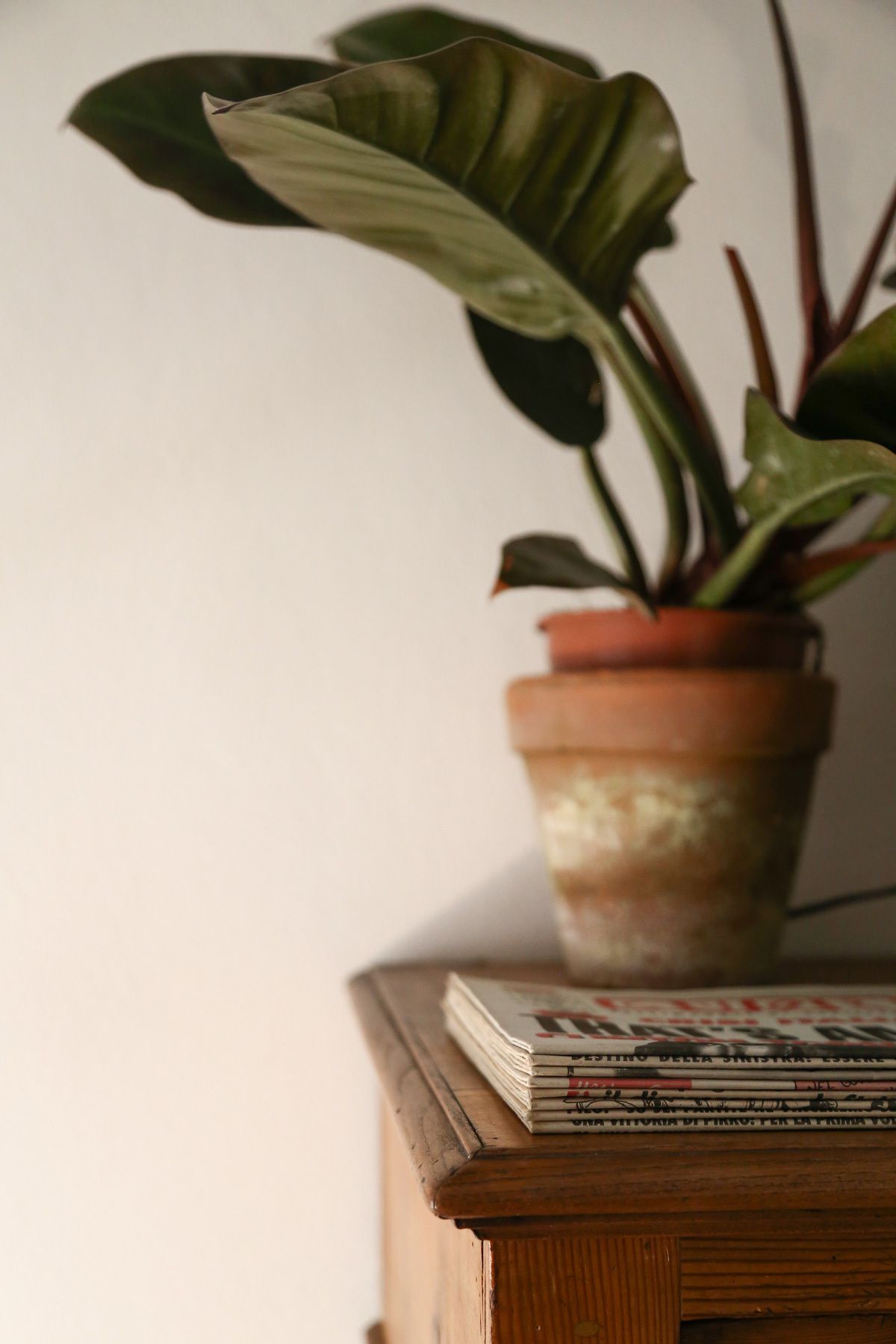 Casa Giardino | Home Relooking